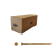 ESEVTG_002_3_IMA.png