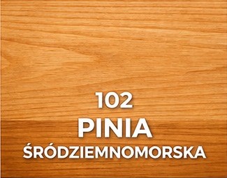 102-pinia-srodziemnomorska.jpg