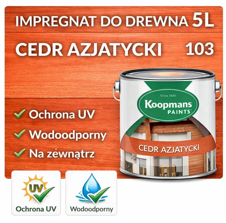 ChatGPT Image 31 mar 2026, 22_21_27.jpg