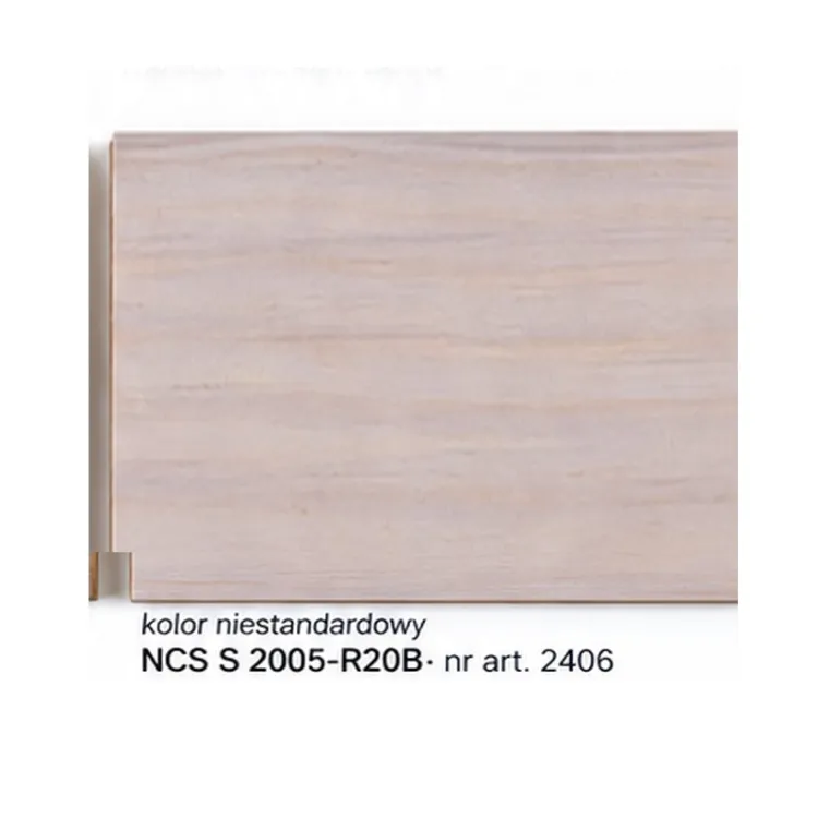Remmers_NCS_S_2005_R20B_2406_kafelek_poprawiony.jpg
