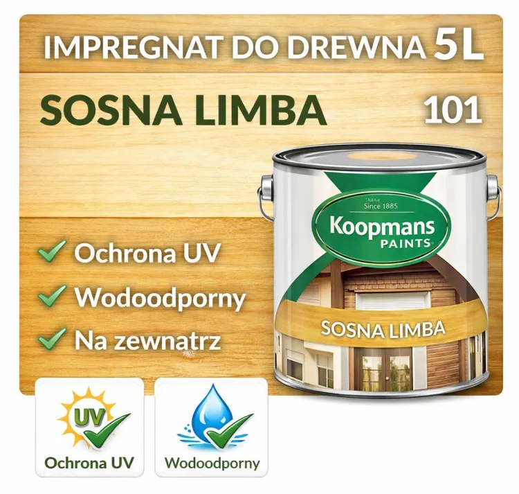 impra sosna limba